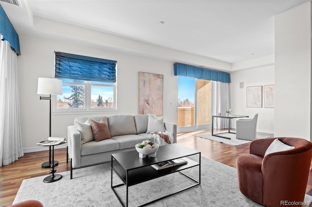 living room featuring a healthy amount of sunlight and light hardwood / wood-style flooring