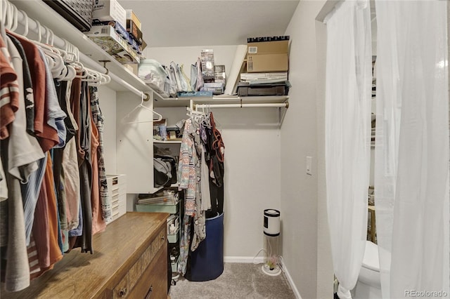 47349 Lily Ave, Bennett, CO 80102 - spacious closet featuring carpet