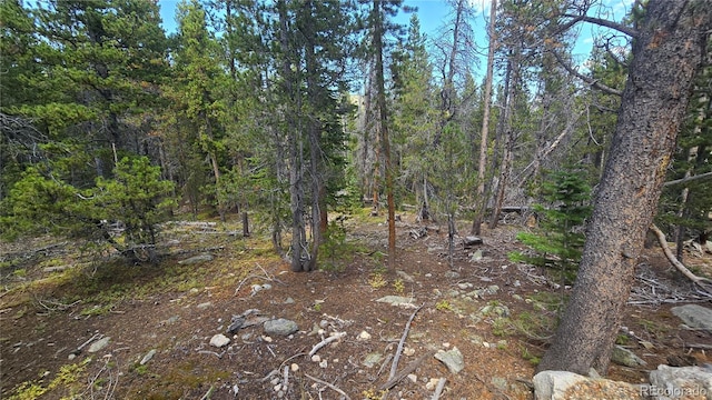 Alice Rd, Idaho Springs CO, 80444 land for sale