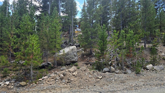 Listing photo 2 for Alice Rd, Idaho Springs CO 80444