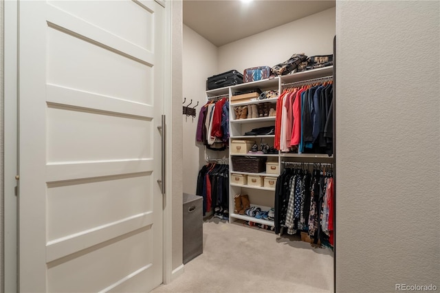 spacious closet with carpet