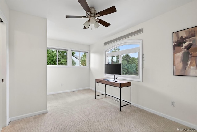 7120 W Princeton Ave, Denver, CO 80235 - photo 30