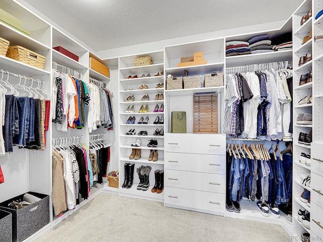 spacious closet featuring carpet