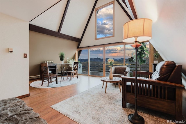 8691 S Warhawk Rd, Conifer, CO 80433 - living area featuring high vaulted ceiling, wood finished floors, beam ceiling, and baseboards