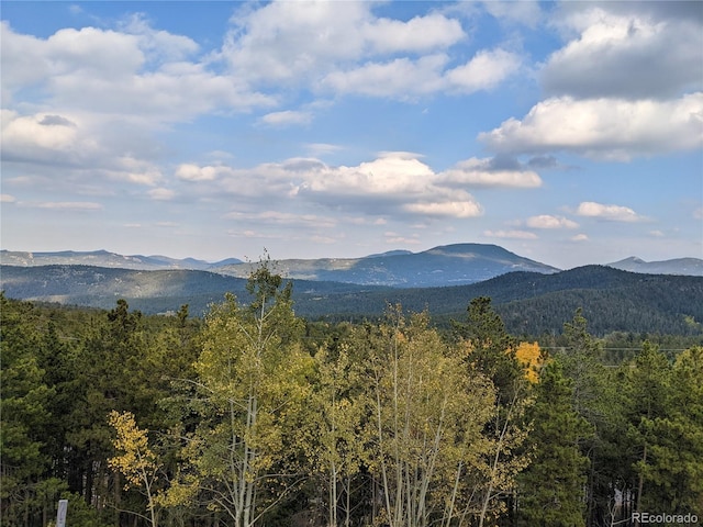 8691 S Warhawk Rd, Conifer, CO 80433 - view of mountain backdrop with a forest
