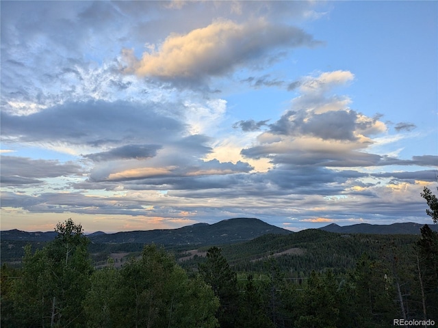 8691 S Warhawk Rd, Conifer, CO 80433 - mountain view featuring a forest