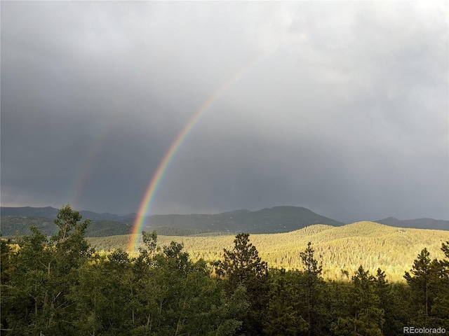 8691 S Warhawk Rd, Conifer, CO 80433 - mountain view
