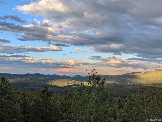 8691 S Warhawk Rd, Conifer, CO 80433 - mountain view with a forest