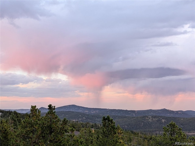 8691 S Warhawk Rd, Conifer, CO 80433 - view of mountain background featuring a heavily wooded area