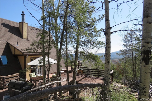 8691 S Warhawk Rd, Conifer, CO 80433 - view of yard