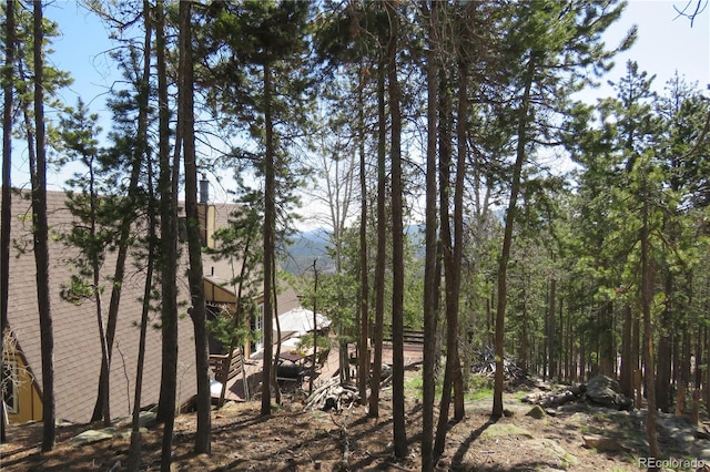 8691 S Warhawk Rd, Conifer, CO 80433 - view of yard