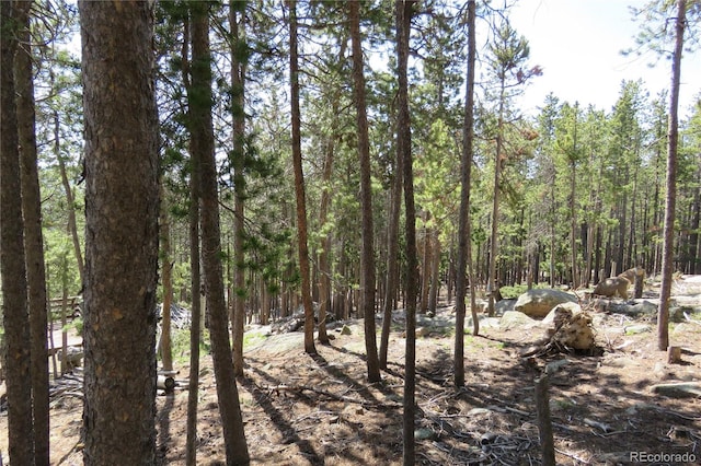 8691 S Warhawk Rd, Conifer, CO 80433 - view of tree filled area
