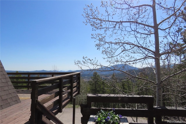 8691 S Warhawk Rd, Conifer, CO 80433 - mountain view