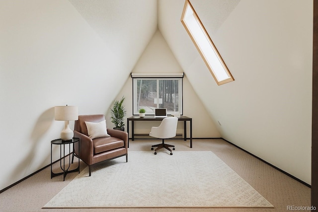 8691 S Warhawk Rd, Conifer, CO 80433 - carpeted office with a skylight and lofted ceiling