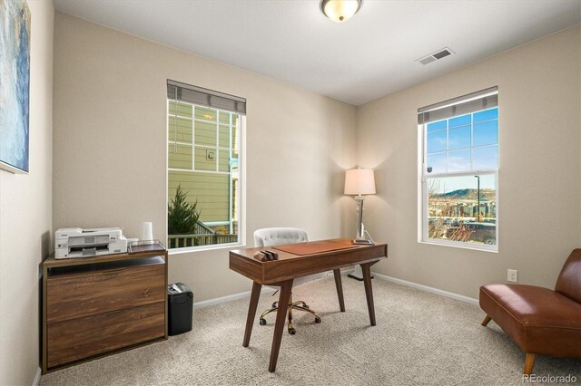 office featuring a wealth of natural light and light carpet