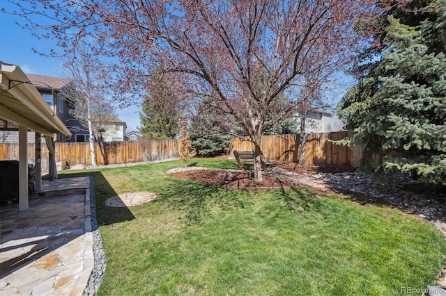 view of yard with a patio area and a fenced backyard