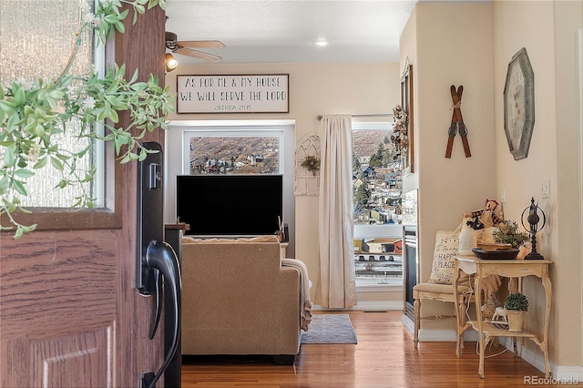 living room with hardwood / wood-style flooring and ceiling fan