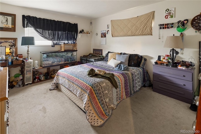 9023 Perry St, Westminster, CO 80031 - photo 20