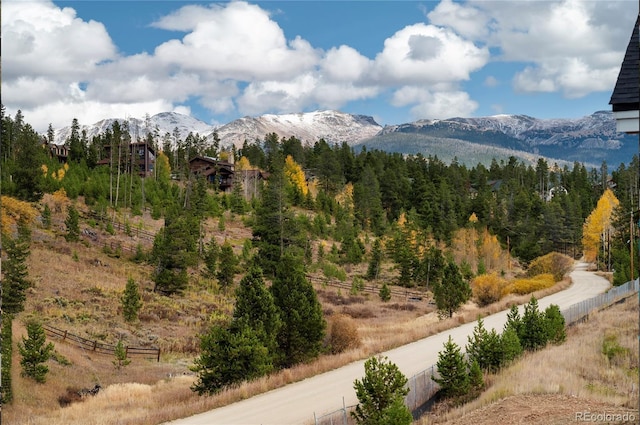 421 W Meadow Mile Unit 4, Fraser, CO 80442 - photo 3