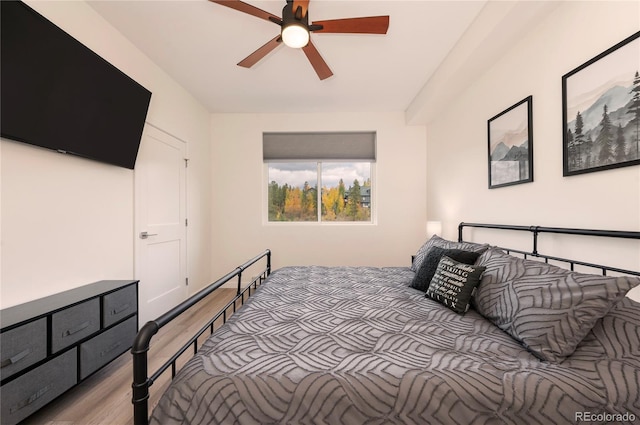 421 W Meadow Mile Unit 4, Fraser, CO 80442 - photo 18