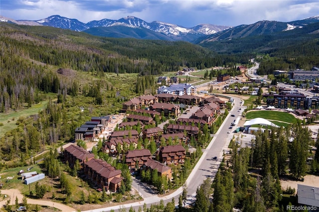 421 W Meadow Mile Unit 4, Fraser, CO 80442 - photo 47
