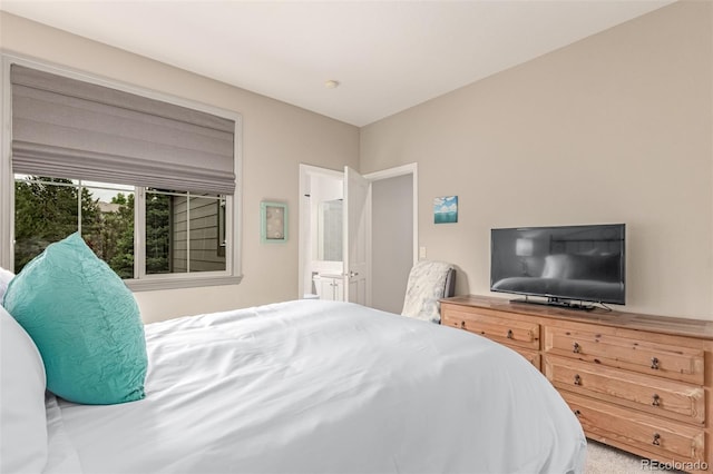 8993 Stonecrest Way, Highlands Ranch, CO 80129 - bedroom with ensuite bath