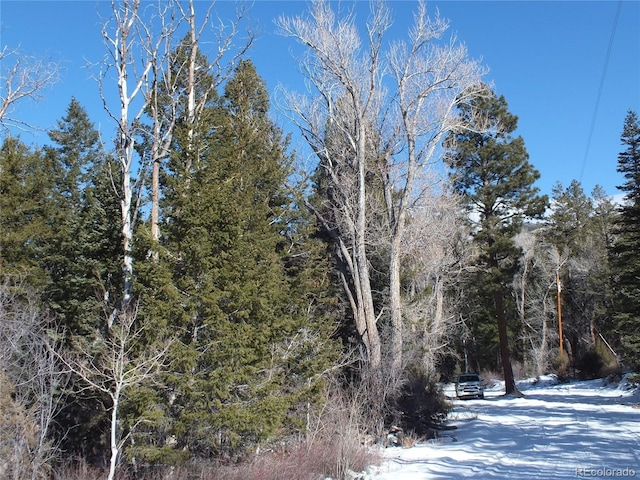 243 Mill Run, Alamosa CO, 81101 land for sale