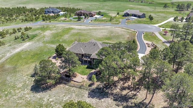 19336 Queens Crescent Way, Monument, CO 80132 - aerial view of property and surrounding area