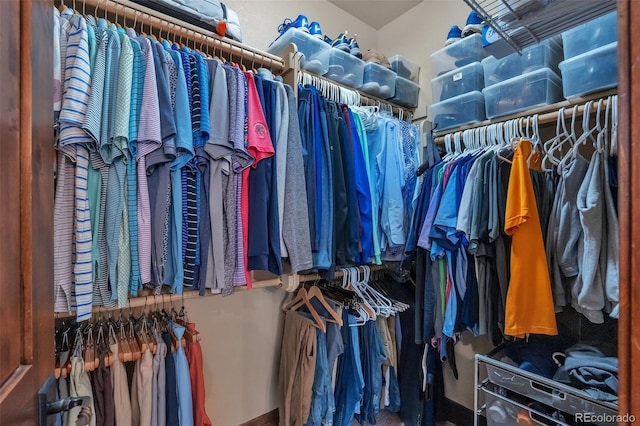 19336 Queens Crescent Way, Monument, CO 80132 - view of walk in closet