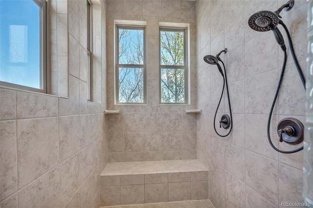 19336 Queens Crescent Way, Monument, CO 80132 - full bathroom featuring a tile shower