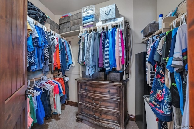 19336 Queens Crescent Way, Monument, CO 80132 - spacious closet with carpet floors