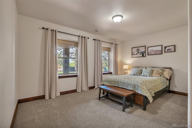 19336 Queens Crescent Way, Monument, CO 80132 - bedroom featuring carpet and baseboards