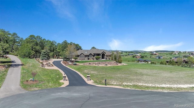 19336 Queens Crescent Way, Monument, CO 80132 - mountain view