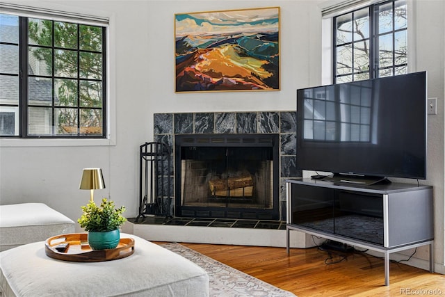 3105 Galileo Ln, Boulder, CO 80301 - living room featuring wood finished floors and a premium fireplace