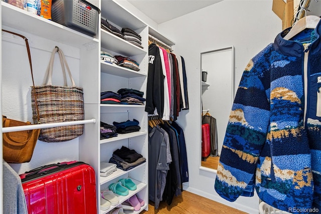 3105 Galileo Ln, Boulder, CO 80301 - spacious closet with wood finished floors
