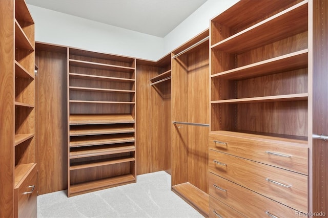 5603 Van Bibber Ct, Golden, CO 80403 - walk in closet featuring carpet floors