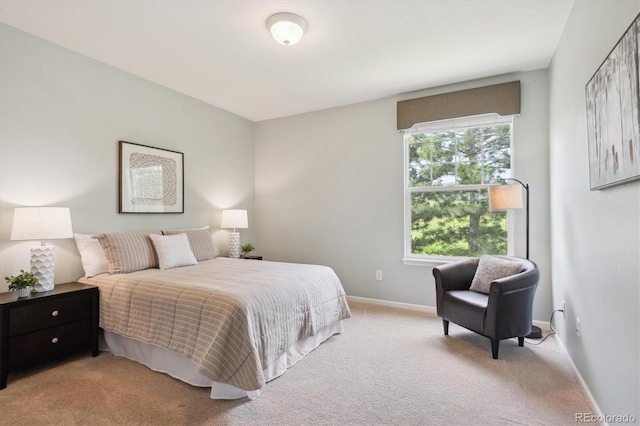 5603 Van Bibber Ct, Golden, CO 80403 - bedroom with carpet and baseboards