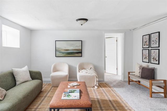 2895 S Sherman St, Englewood, CO 80113 - living area featuring carpet and baseboards