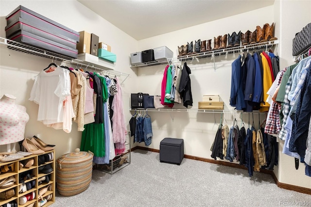 1831 Ashford Cir, Longmont, CO 80504 - walk in closet featuring carpet floors