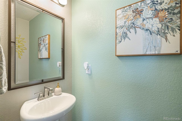 17996 E 54th Ave, Denver, CO 80249 - photo 14