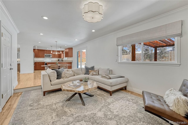 living room featuring ornamental molding and light hardwood / wood-style flooring