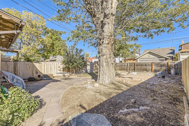 view of yard featuring a patio area