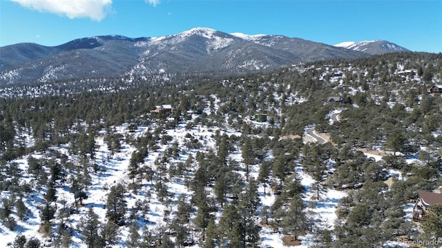 30110 Princeton Hls, Buena Vista, CO 81211