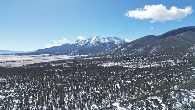30110 Princeton Hls, Buena Vista, CO 81211