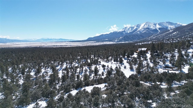 30110 Princeton Hls, Buena Vista, CO 81211