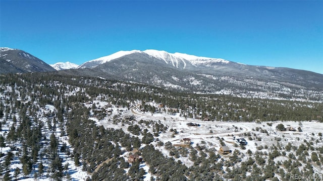 30110 Princeton Hls, Buena Vista, CO 81211