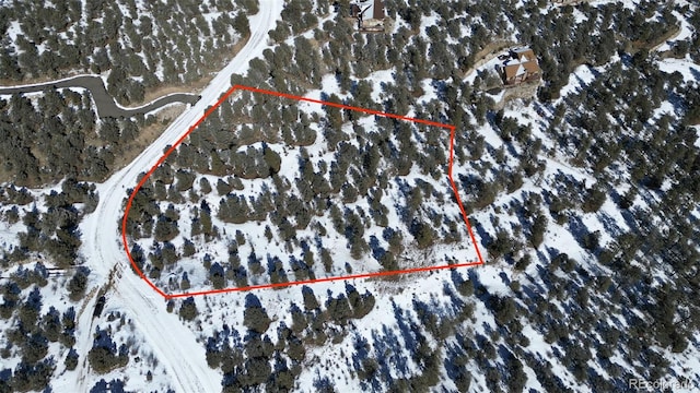 30110 Princeton Hls, Buena Vista, CO 81211