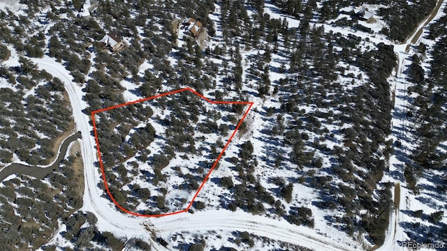 30110 Princeton Hls, Buena Vista, CO 81211