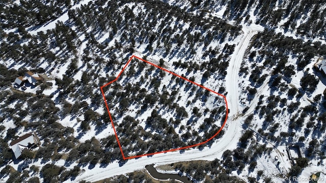 30110 Princeton Hls, Buena Vista, CO 81211