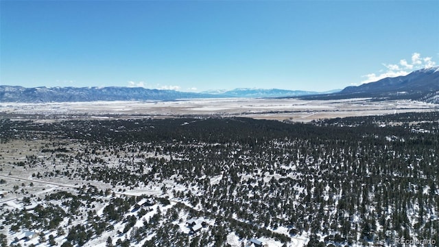 30110 Princeton Hls, Buena Vista, CO 81211
